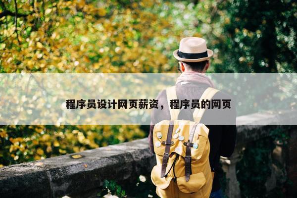 程序员设计网页薪资，程序员的网页