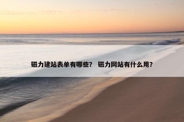 磁力建站表单有哪些？ 磁力网站有什么用？