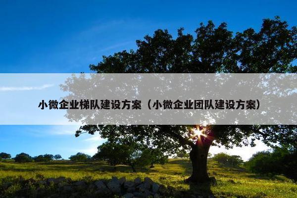 小微企业梯队建设方案（小微企业团队建设方案）