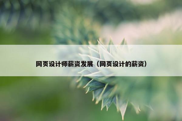 网页设计师薪资发展（网页设计的薪资）