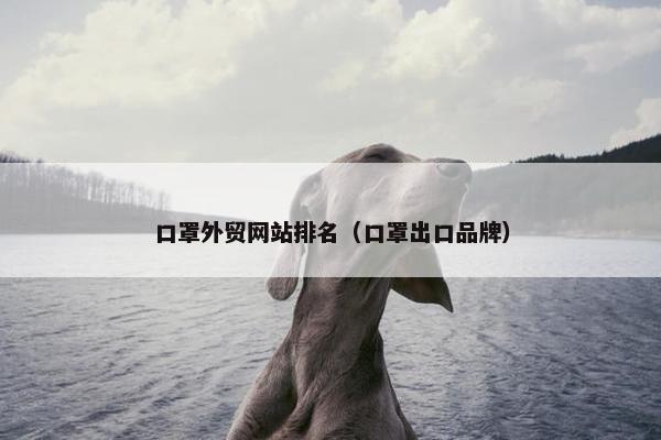 口罩外贸网站排名（口罩出口品牌）