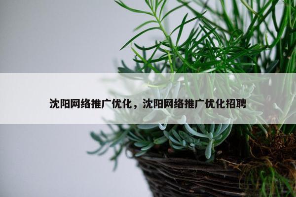 沈阳网络推广优化，沈阳网络推广优化招聘