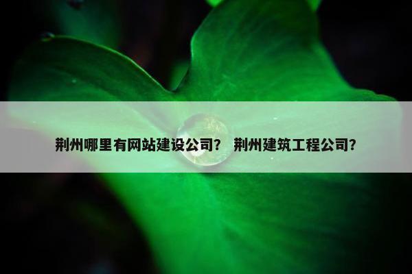 荆州哪里有网站建设公司？ 荆州建筑工程公司？