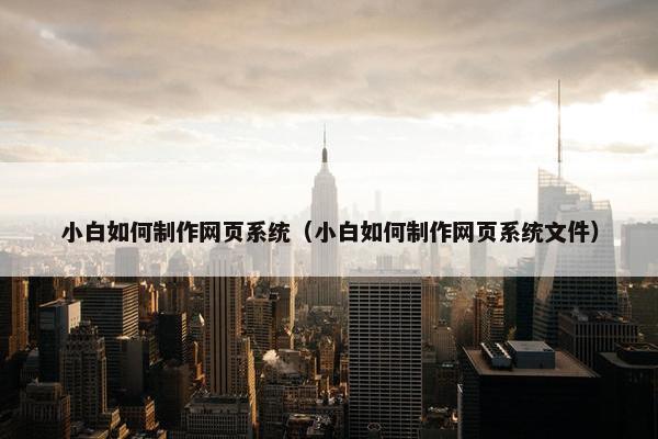 小白如何制作网页系统（小白如何制作网页系统文件）
