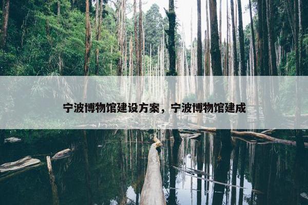 宁波博物馆建设方案，宁波博物馆建成