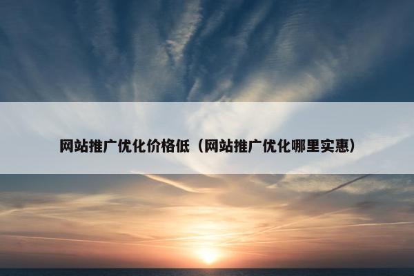 网站推广优化价格低（网站推广优化哪里实惠）