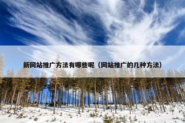 新网站推广方法有哪些呢（网站推广的几种方法）