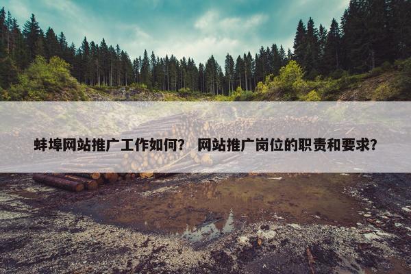 蚌埠网站推广工作如何？ 网站推广岗位的职责和要求？