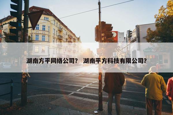 湖南方平网络公司？ 湖南平方科技有限公司？