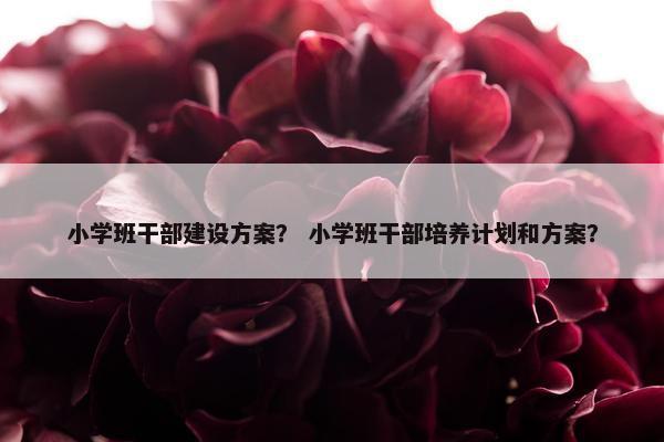 小学班干部建设方案？ 小学班干部培养计划和方案？