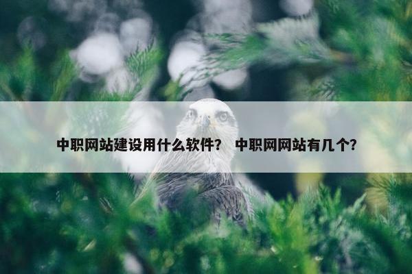 中职网站建设用什么软件？ 中职网网站有几个？