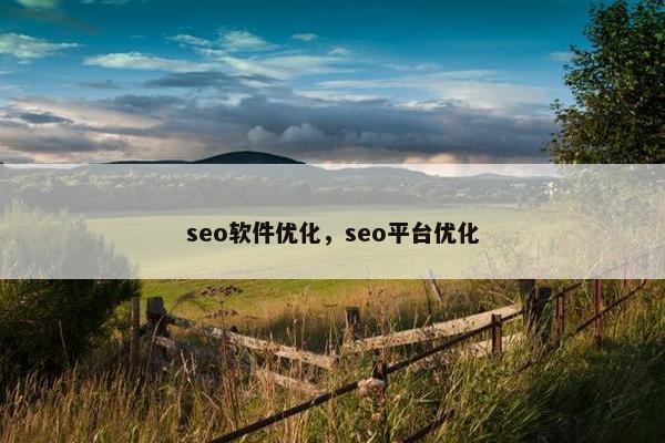 seo软件优化，seo平台优化