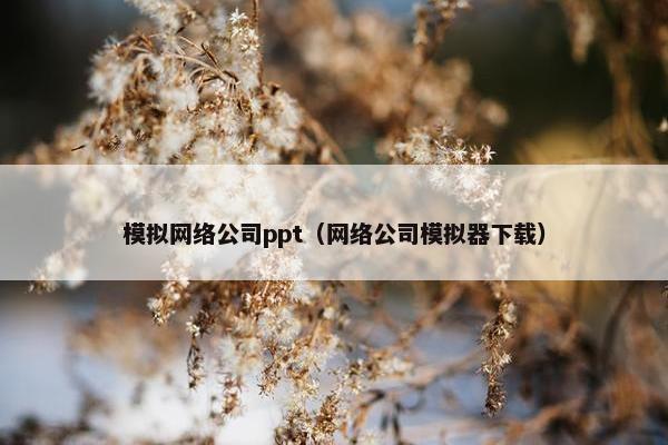 模拟网络公司ppt（网络公司模拟器下载）