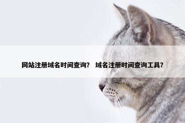 网站注册域名时间查询？ 域名注册时间查询工具？