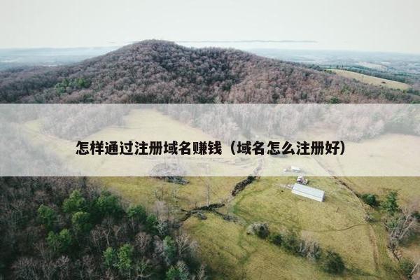 怎样通过注册域名赚钱（域名怎么注册好）