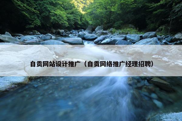 自贡网站设计推广（自贡网络推广经理招聘）