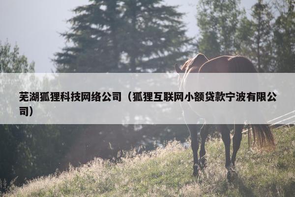 芜湖狐狸科技网络公司（狐狸互联网小额贷款宁波有限公司）