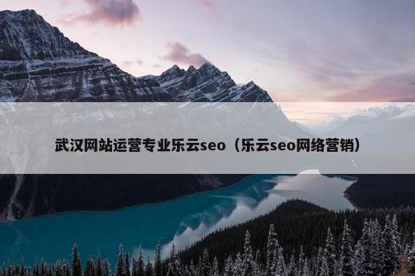 武汉网站运营专业乐云seo（乐云seo网络营销）