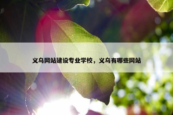 义乌网站建设专业学校，义乌有哪些网站