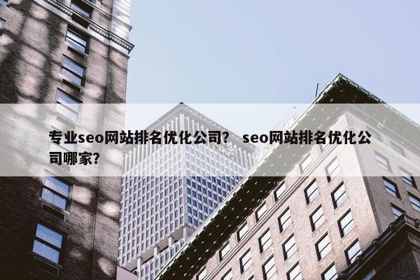 专业seo网站排名优化公司？ seo网站排名优化公司哪家？