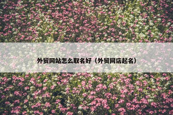 外贸网站怎么取名好（外贸网店起名）