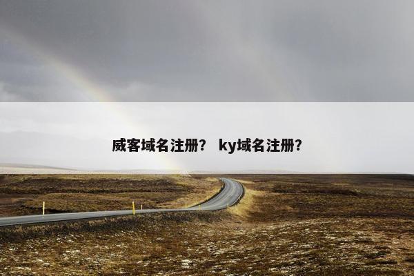 威客域名注册？ ky域名注册？