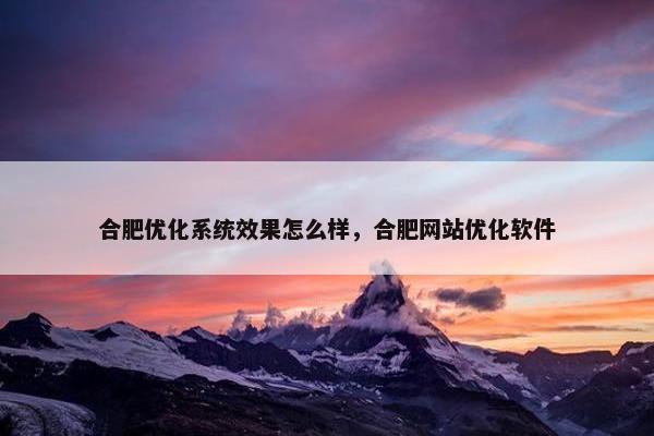 合肥优化系统效果怎么样，合肥网站优化软件