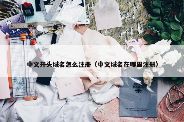 中文开头域名怎么注册（中文域名在哪里注册）