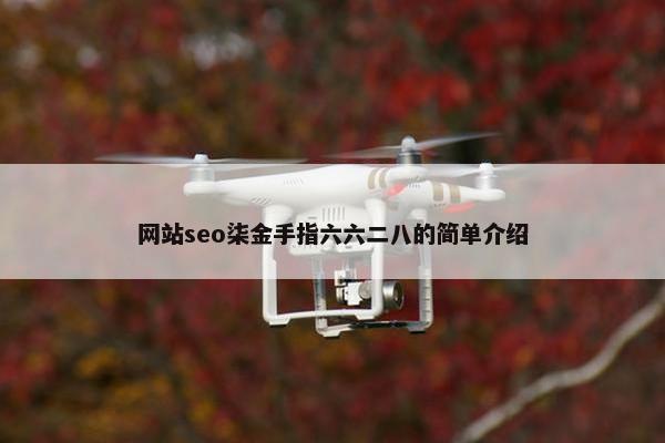 网站seo柒金手指六六二八的简单介绍