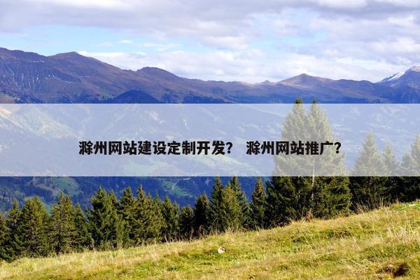 滁州网站建设定制开发？ 滁州网站推广？