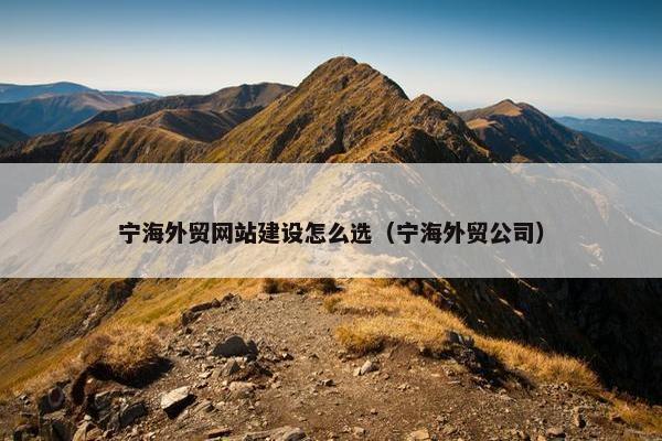 宁海外贸网站建设怎么选（宁海外贸公司）