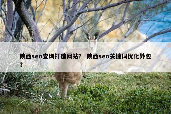 陕西seo查询打造网站？ 陕西seo关键词优化外包？