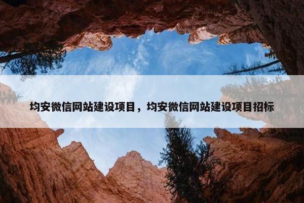 均安微信网站建设项目，均安微信网站建设项目招标