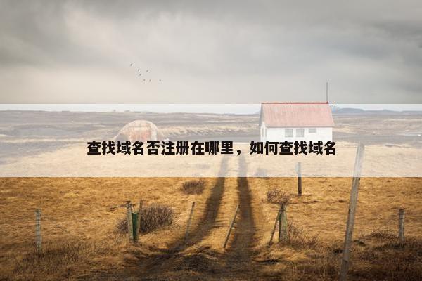 查找域名否注册在哪里，如何查找域名