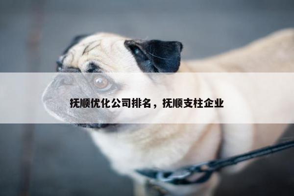 抚顺优化公司排名，抚顺支柱企业