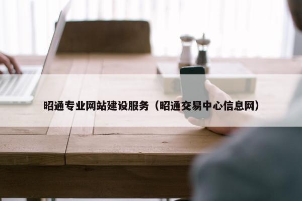 昭通专业网站建设服务（昭通交易中心信息网）
