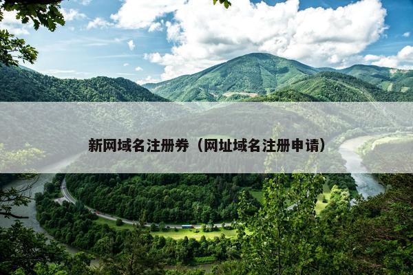 新网域名注册券（网址域名注册申请）