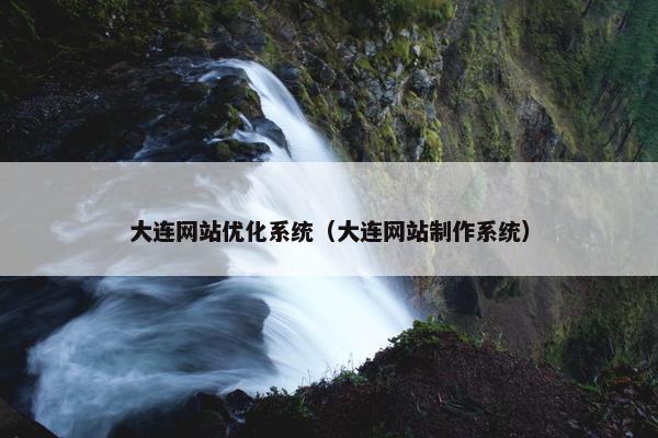 大连网站优化系统（大连网站制作系统）
