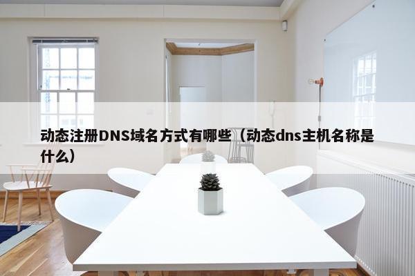 动态注册DNS域名方式有哪些（动态dns主机名称是什么）