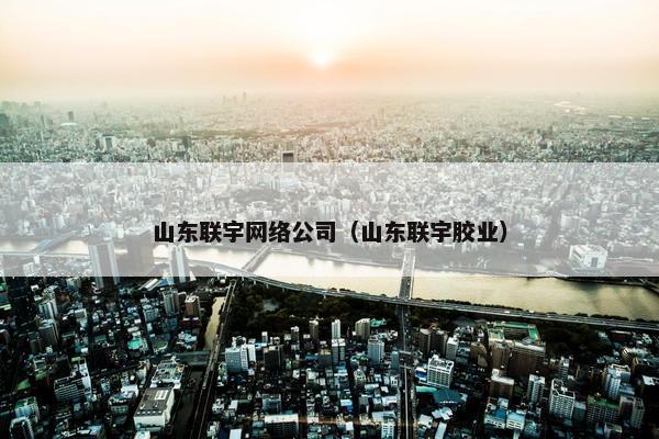 山东联宇网络公司（山东联宇胶业）