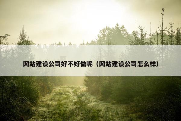 网站建设公司好不好做呢（网站建设公司怎么样）