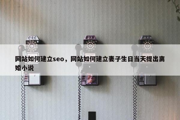 网站如何建立seo，网站如何建立妻子生日当天提出离婚小说