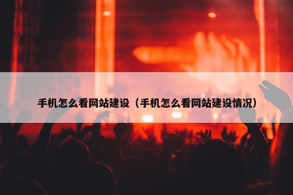 手机怎么看网站建设（手机怎么看网站建设情况）