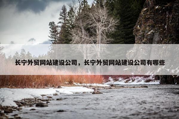 长宁外贸网站建设公司，长宁外贸网站建设公司有哪些