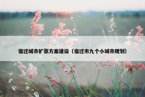 宿迁城市扩张方案建设（宿迁市九个小城市规划）