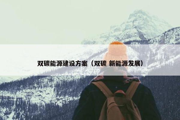 双碳能源建设方案（双碳 新能源发展）