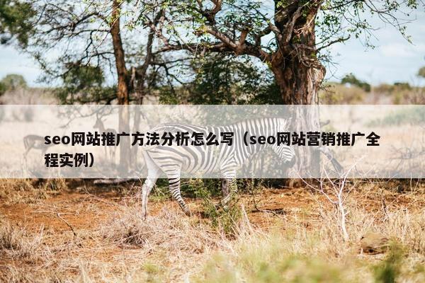 seo网站推广方法分析怎么写（seo网站营销推广全程实例）