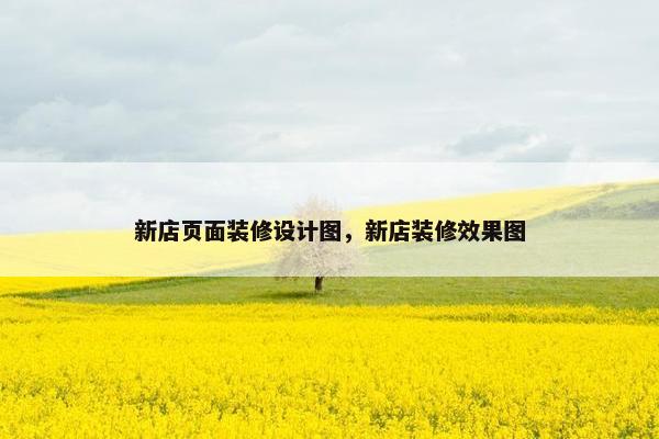 新店页面装修设计图，新店装修效果图