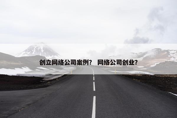 创立网络公司案例？ 网络公司创业？