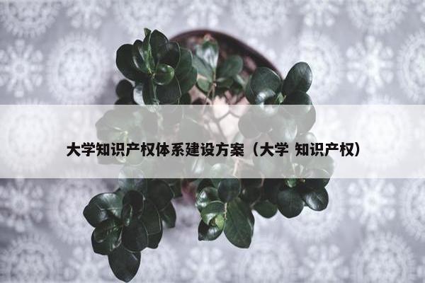 大学知识产权体系建设方案（大学 知识产权）